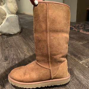 Tall Chestnut Ugg Boots